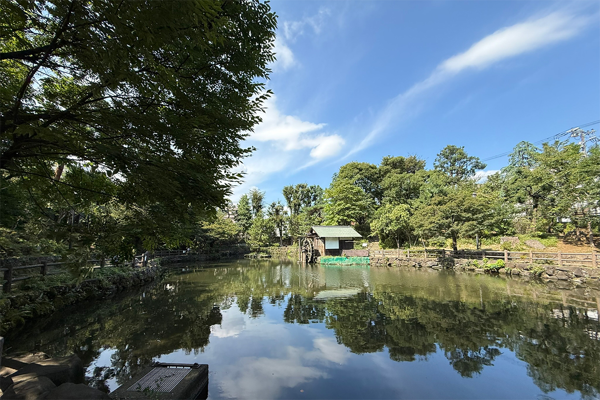 鍋島松濤公園 徒歩約9分(約720m)